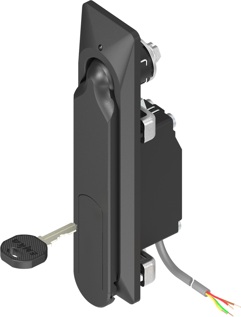 Swinghandle 1154 with electromagnetic release and emergency opening, keyed EH 333, Zinc die black powder-coated