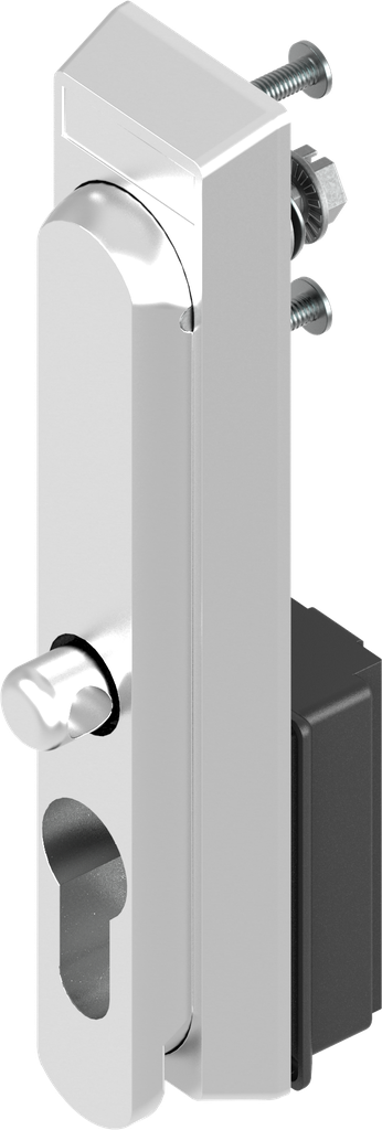 Swinghandle for padlock and profile half cylinder 40 mm (A = 30 mm), Stainless steel AISI 316